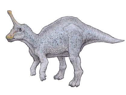 チンタオサウルス