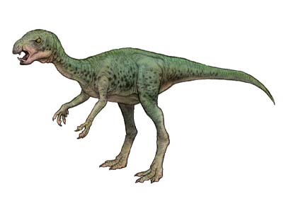 ヘテロドントサウルス