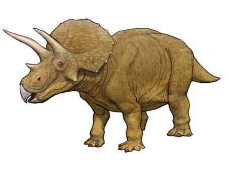 トリケラトプス（Triceratops horridus ） 恐竜のデジタル図鑑